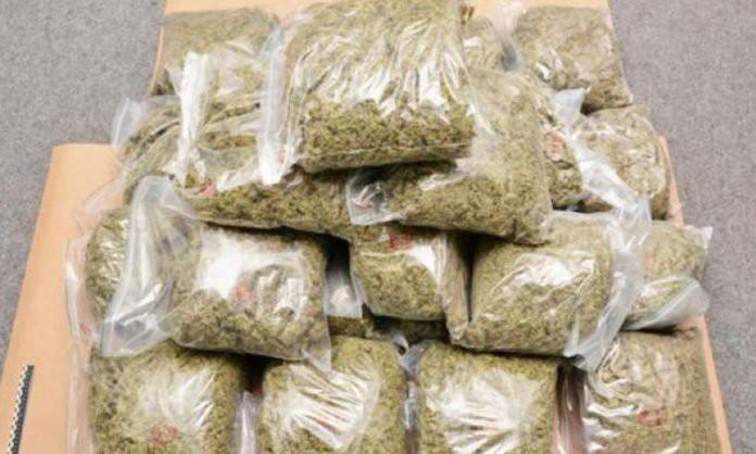 Saisie de 74 kg de drogue à Rufisque : Arrestation de deux chauffeurs et deux Jakartamen par la police