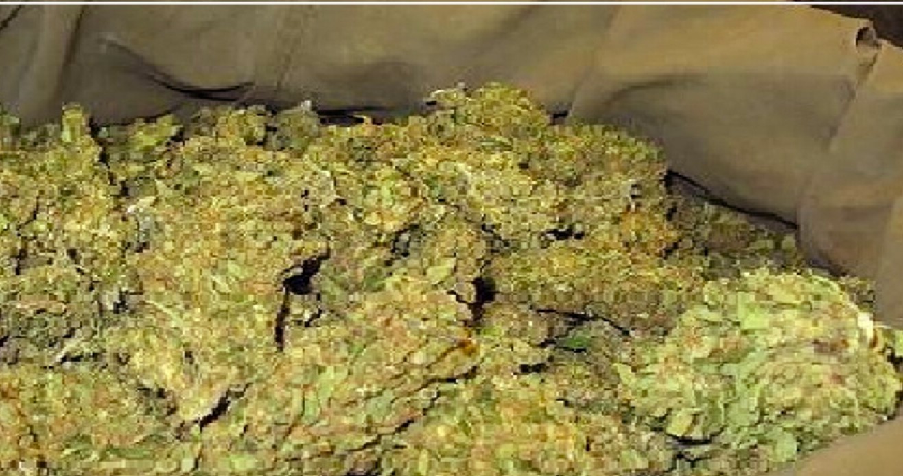 50 kilogrammes de chanvre indien saisis à Bounkiling (Police)