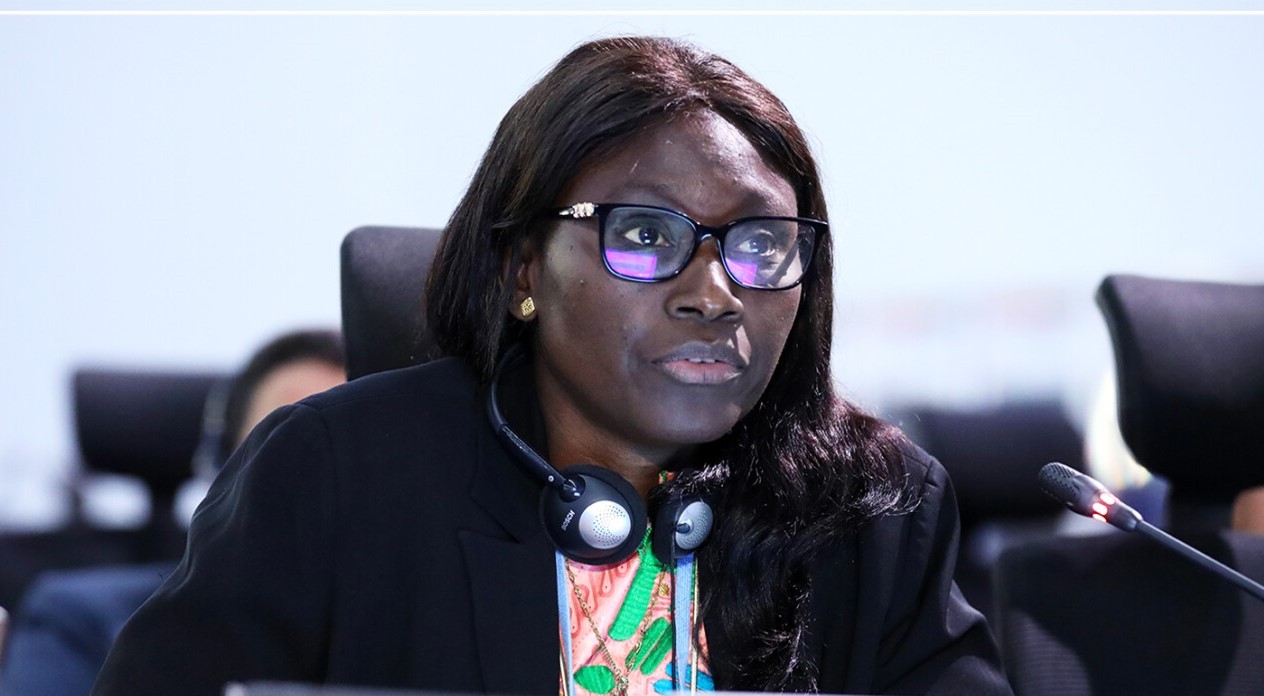 Cop 28 : le fonds « pertes et dommages » devra garantir de nouveaux financements (présidente groupe PMA)