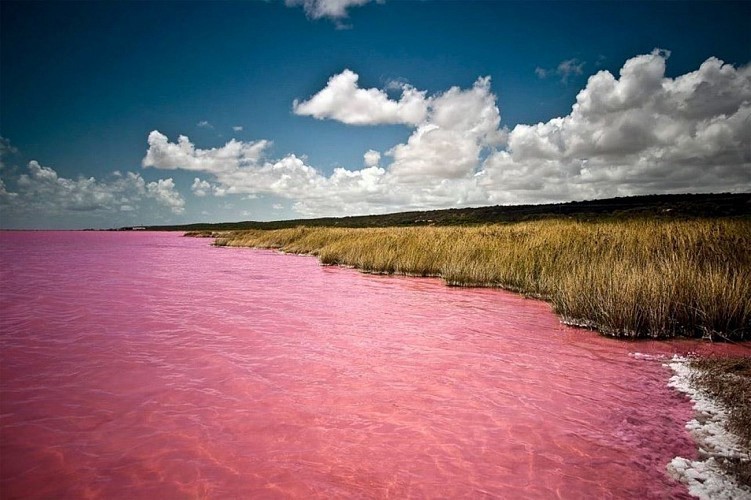 Sénégal : le lac Rose, un site naturel proche de l’agonie