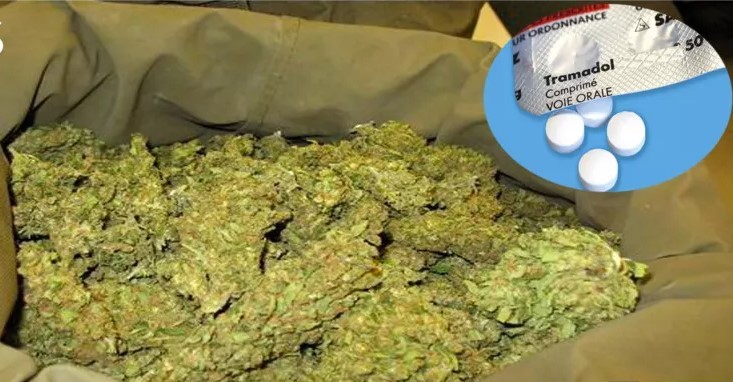 Kédougou : deux orpailleurs arrêtés pour détention de chanvre indien et de tramadol