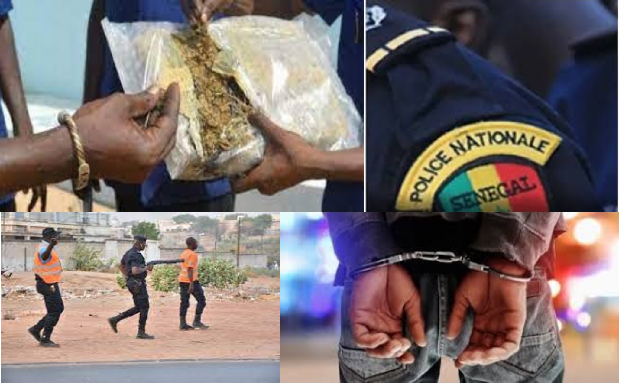 Kaolack: L&rsquo;OCRTIS arrête 2 trafiquants avec 200 kg de chanvre indien