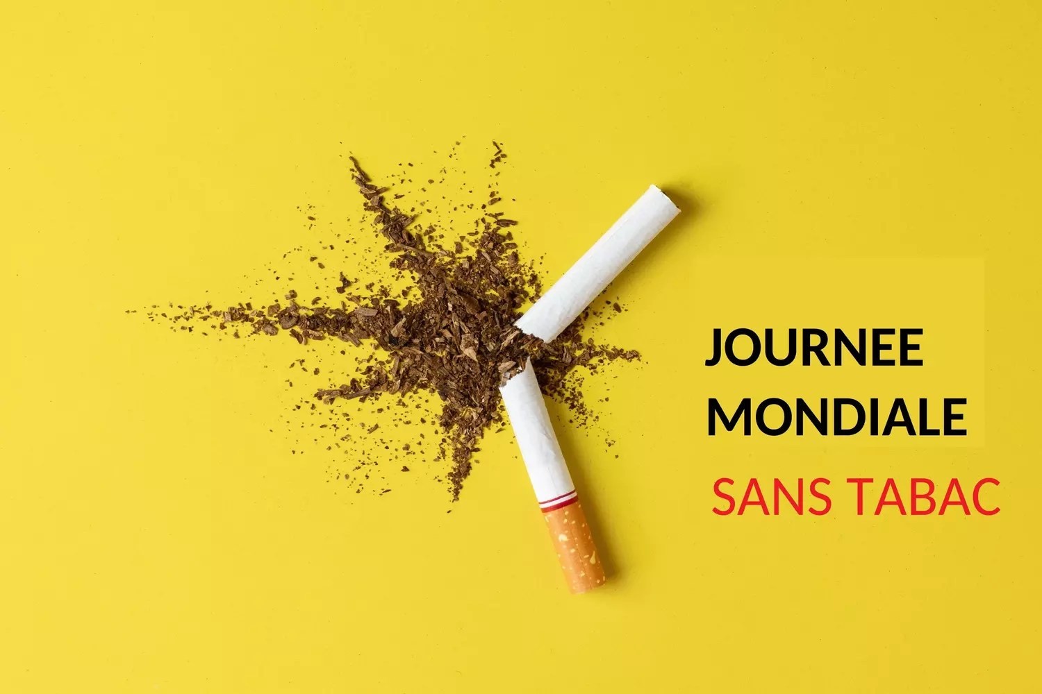 Journée mondiale sans tabac : « Protéger les enfants de l’ingérence de l’industrie du tabac »