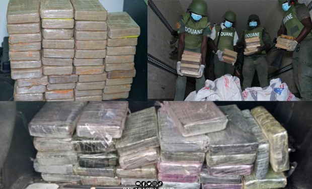 Saisie Record de Cocaïne : 02 Tonnes Confisquées par la Douane en Six Mois
