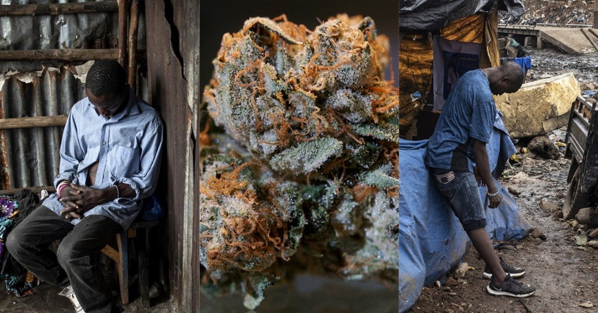 Colobane: Un malien arrété avec Kush, une nouvelle drogue