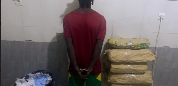 Saisie de 14 kg de drogue à Rufisque : Un piroguier arrêté par la police