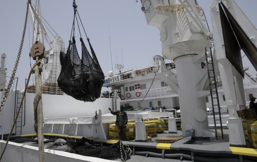 CRISE DANS LE SECTEUR DES PÊCHES : RISQUE DE CHÔMAGE À GRANDE ÉCHELLE , PLUS DE 1200 EMPLOIS DIRECTS MENACÉS
