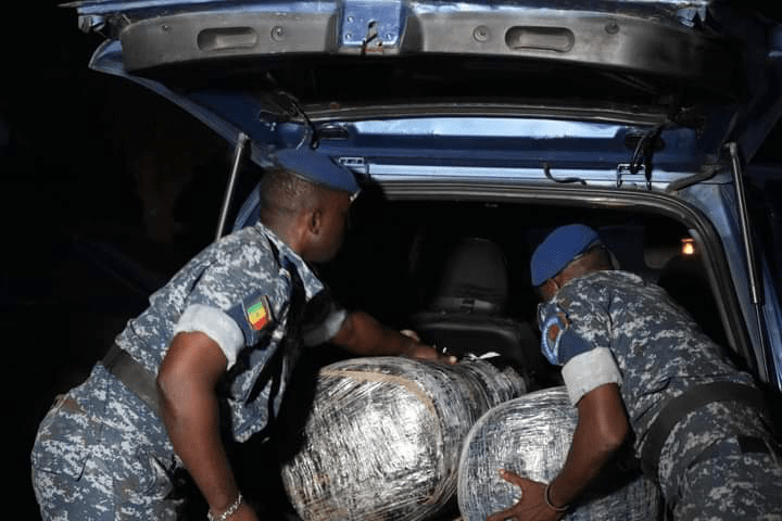 Keur Massar : Saisie de 500 kg de chanvre indien et de faux billets d&rsquo;une valeur de 1 milliard de francs CFA par la gendarmerie