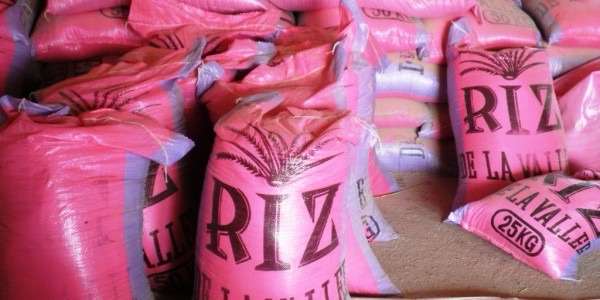 Souveraineté alimentaire : une subvention pour booster sa production et sa consommation, de nouvelles mesures pour valoriser le riz sénégalais